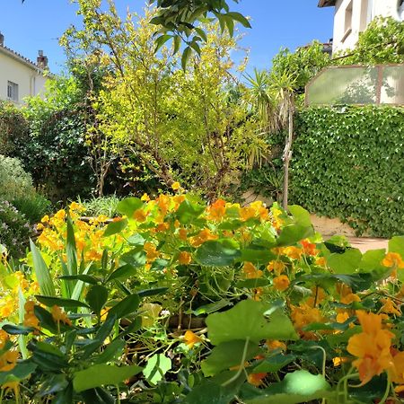 Apartament Les Papillons Perpignan Zewnętrze zdjęcie