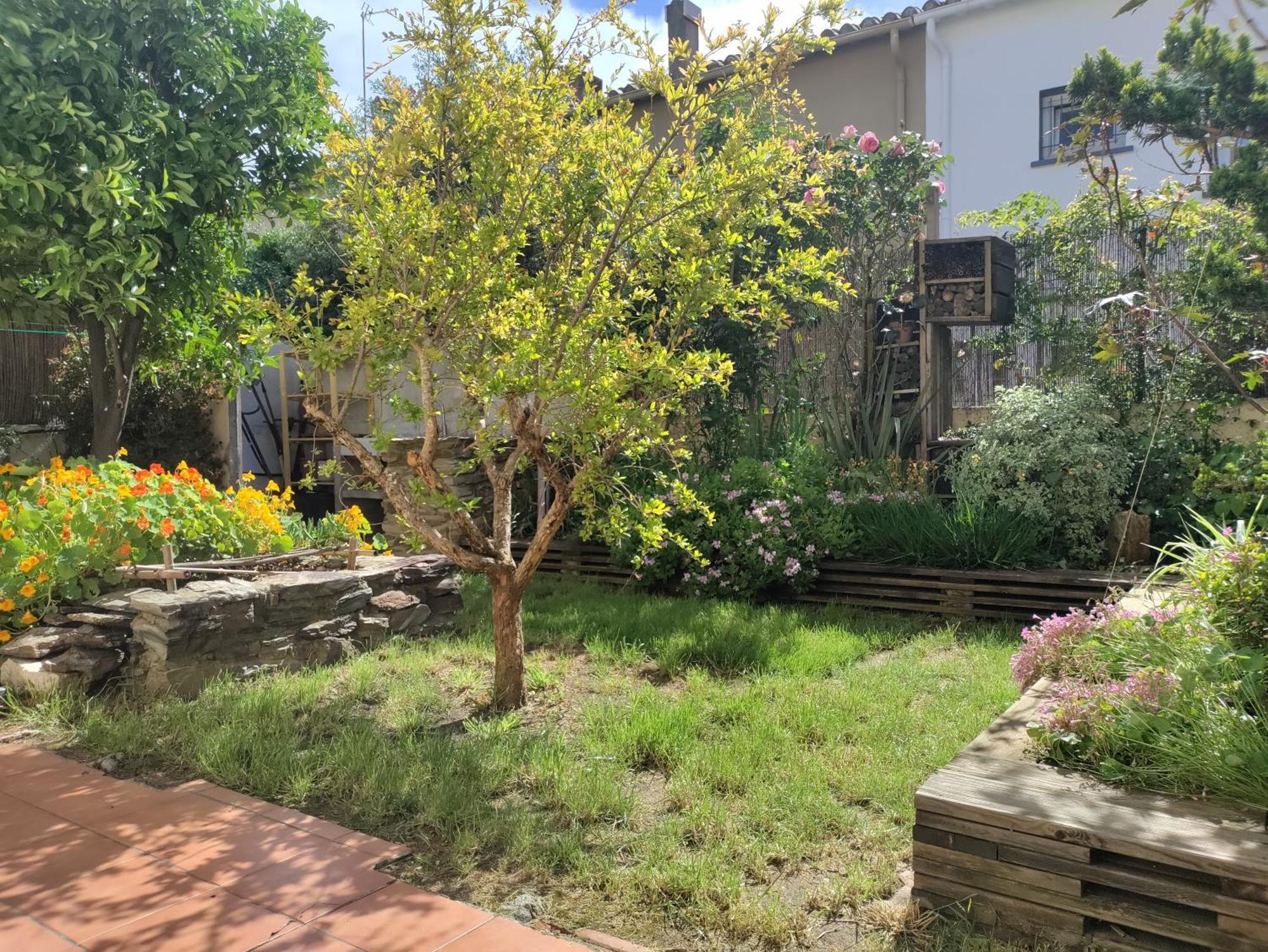 Apartament Les Papillons Perpignan Zewnętrze zdjęcie