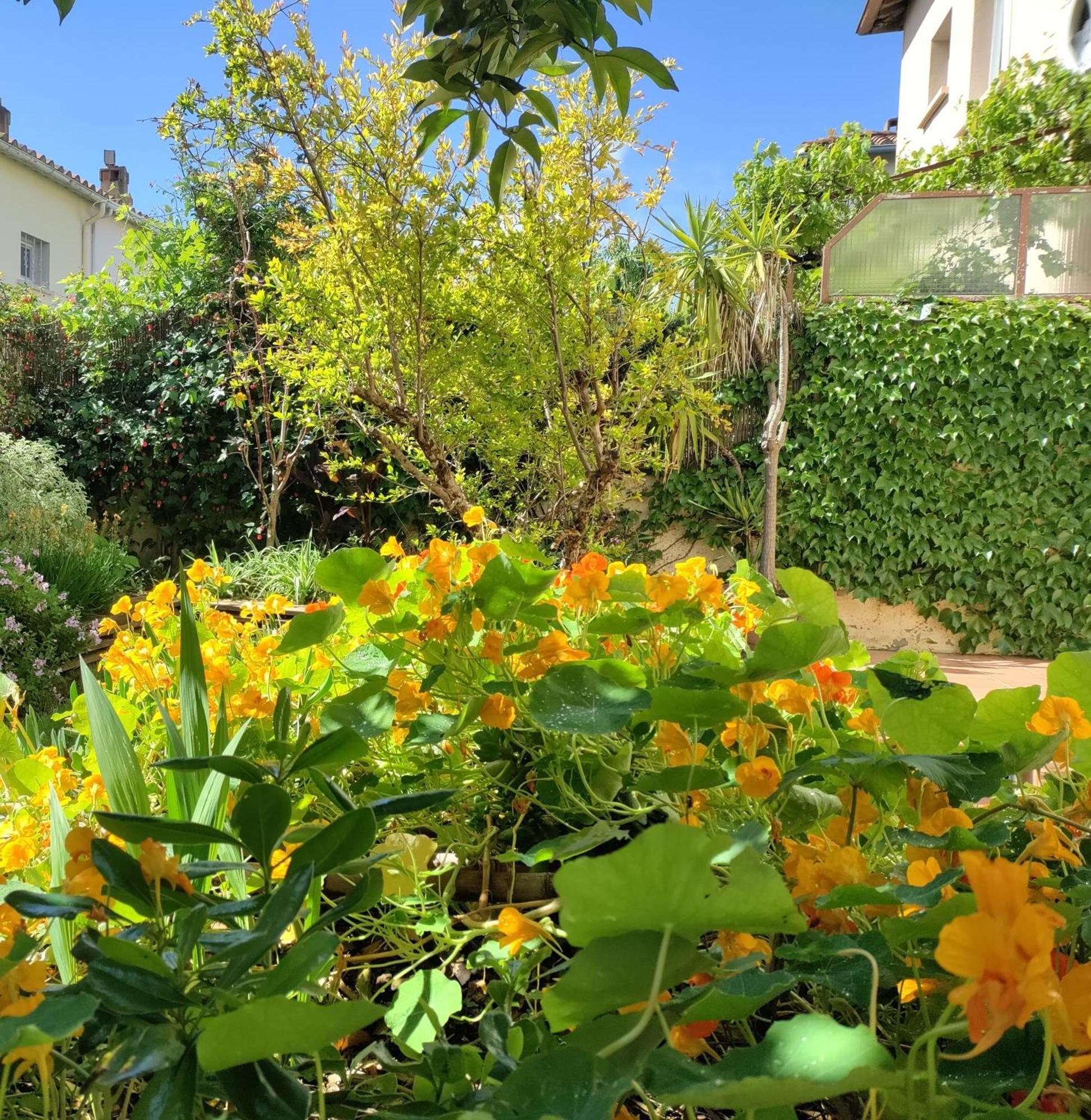 Apartament Les Papillons Perpignan Zewnętrze zdjęcie